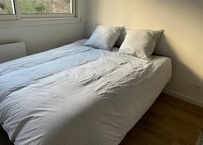 Avec Canape Lit 2 Places Dans Piece De Vie Et Lit Place Dans Coin Nuit Apartment